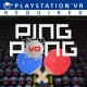 VR Ping Pong