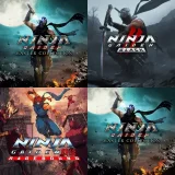 Ninja Gaiden Ninja Gaiden
